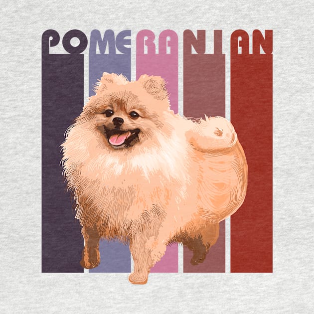 Pomeranian dog by Olgakunz